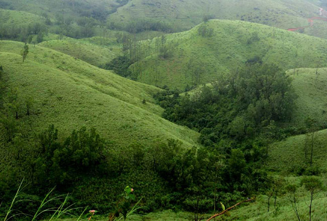 Photo Gallery of Vagamon Hill Station