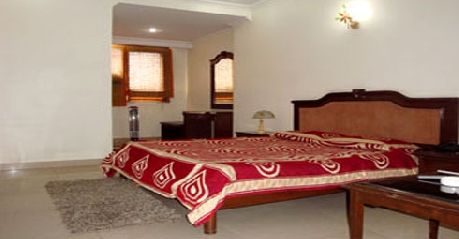 Batra Palace In Ambala Indian Holiday - 