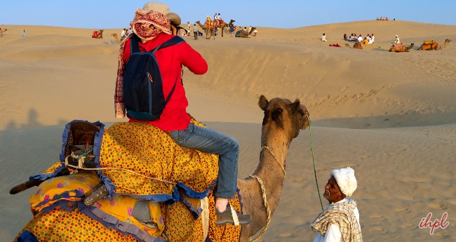 osian camel safari