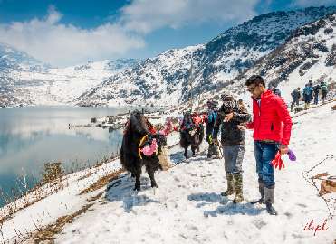 Glimpses of Sikkim Tour