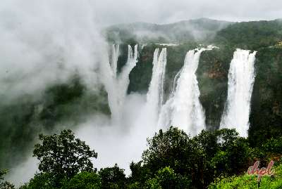 Jog Falls Trip from Bangalore