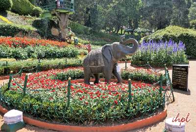 Short Escape to Ooty