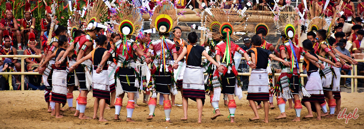 Hornbill Festival Kohima Nagaland Updated Information