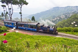 Toy Train in Darjeeling, West Bengal
