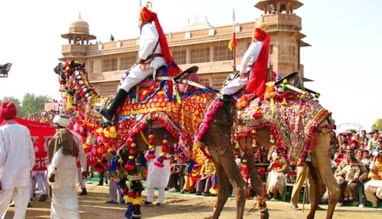 Camel Festival in Bikaner - Dates, Durations, Tickets