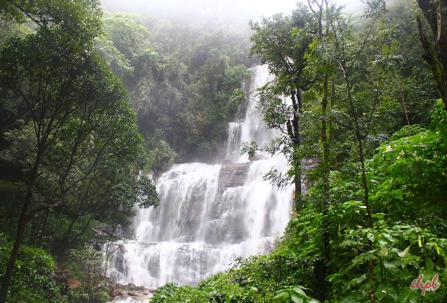 Short Trip to Chikmagalur From Bangalore - Weekend Trip